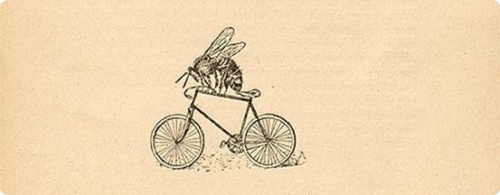 A bike bee