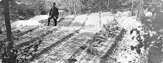 Pépinière de reboisement avec rigoles d'irrigation, torrent de Sainte Marthe