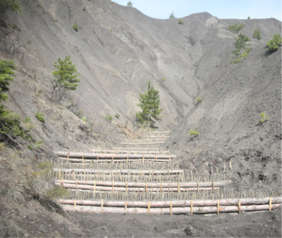 Rôle de piégeage et de rétention de sédiments dans des ravines marneuses érodées (ici l’essai à Fontaugier après la plantation)